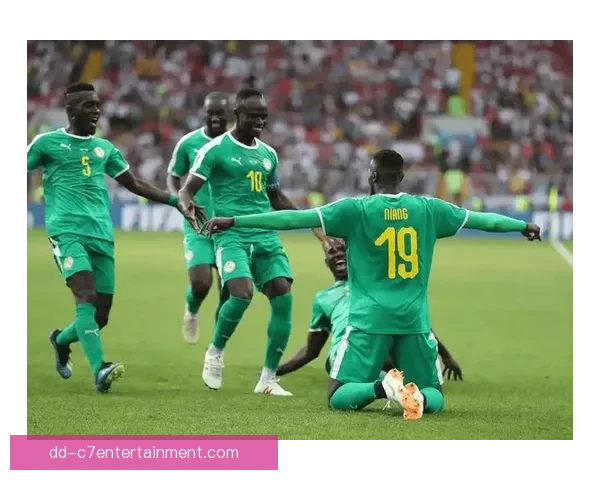 2025非洲杯落户摩洛哥北非足球盛宴蓄势待发全球球迷热切期待